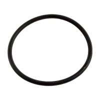 Pentair 355330 - Strainer Pot Flange O-Ring 