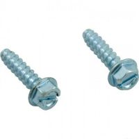 Hayward Mounting Base Cap Screw Kit - Pack of 2