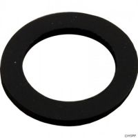 Pentair 154713 - Sand Drain Gasket