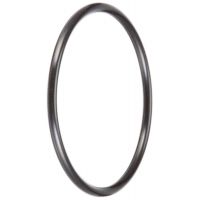 Pentair 55051428 - Joint torique