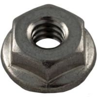 Pentair 272554 - Stainless Steel Nut #10-24 Serrated Flange