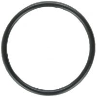 セール 国内 Zodiac Pool | Replacement O-Ring Electrode - W151211 その他