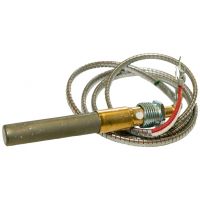 Hayward Pilot Generator