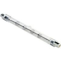 Pentair 79131000 - Halogen Bulb, 300 Watts 120 Volts