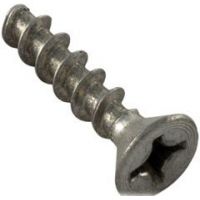 Pentair 516241 - 8 by 1 1.4 Inch Pan Head Stainless Steel Screw