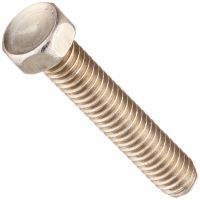 Pentair  Screw Replacement