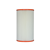 Pleatco pour Intex Recreation - PIN20 - Filtre unique