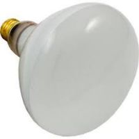 Hayward - SPX0504Z7 - Bulb-500Watt-120V Medium Base