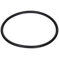 Hayward - GMX400F - O-Ring (6.5 Inch)