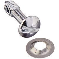 Hayward - SPX0503Z20A - Face Rim Lockscrew W/Washer