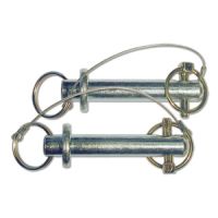 Hayward - SPX2601B - Base Pins (pak 2)