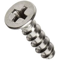Hayward - SPX1425Z32 - Face Plate Screw (2 Pak)