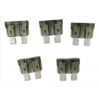 Hayward 1 Amp Fuse Kit - 5 Pack