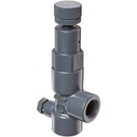 Hayward - HPXWS56HPS - High Pressure Valve