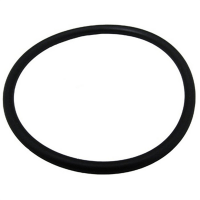 Pentair 00B7027 - O-Ring Adapter