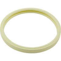 Pentair - 79101601Z - Lens Gasket Replacement Kit for Sta-Rite SunBrite II Pool and Spa Lights