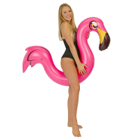 Pool Candy Ride-On Flamingo Pool Noodle