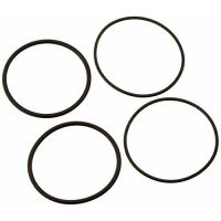 Raypak O-Ring Inlet/Outlet