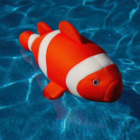 Nemo Bean Bag Pool Float