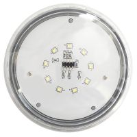 Ampoule de remplacement 12 volts à DEL blanche d'Aqua Lamp