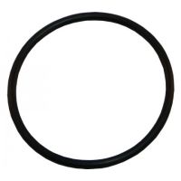 Aqualamp O-Ring (For Non-LED AquaLamp Bulbs)